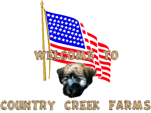 Welcome to Country Creek Farms!  