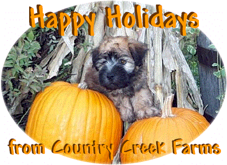 Happy Holidays from Country Creek Farms!